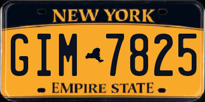 NY license plate GIM7825