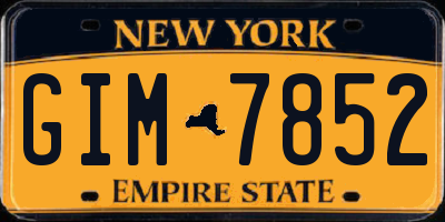NY license plate GIM7852