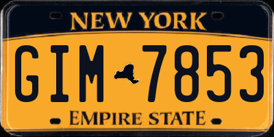 NY license plate GIM7853