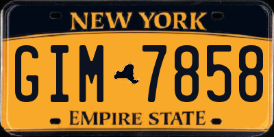 NY license plate GIM7858