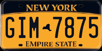 NY license plate GIM7875