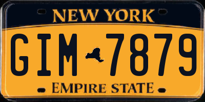 NY license plate GIM7879