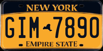 NY license plate GIM7890