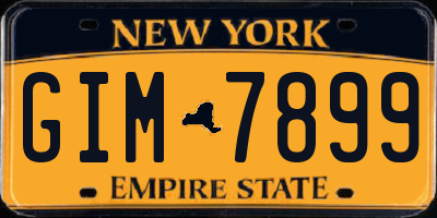 NY license plate GIM7899