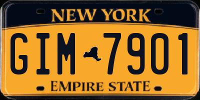 NY license plate GIM7901