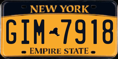 NY license plate GIM7918