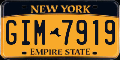 NY license plate GIM7919