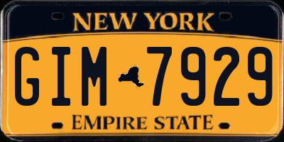 NY license plate GIM7929
