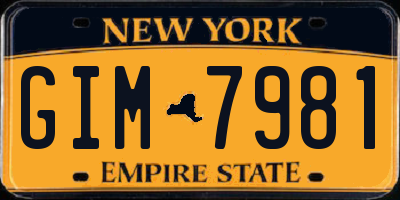 NY license plate GIM7981