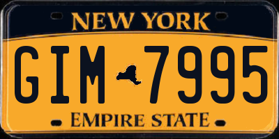 NY license plate GIM7995