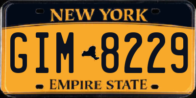 NY license plate GIM8229