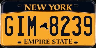 NY license plate GIM8239