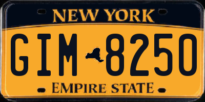 NY license plate GIM8250