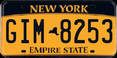 NY license plate GIM8253