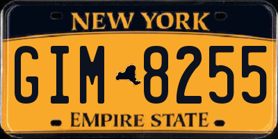 NY license plate GIM8255