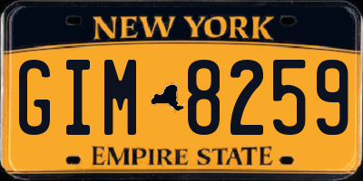 NY license plate GIM8259