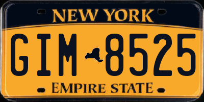 NY license plate GIM8525
