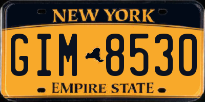 NY license plate GIM8530