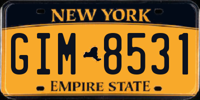 NY license plate GIM8531