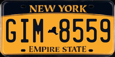 NY license plate GIM8559