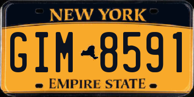 NY license plate GIM8591