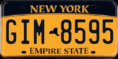 NY license plate GIM8595