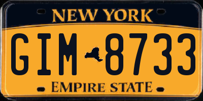 NY license plate GIM8733