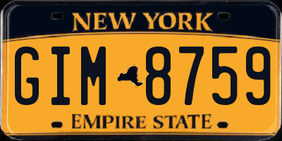 NY license plate GIM8759