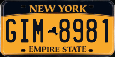 NY license plate GIM8981