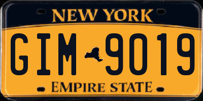 NY license plate GIM9019