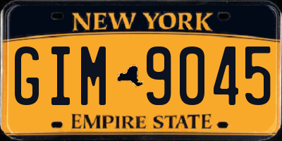 NY license plate GIM9045