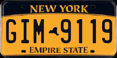 NY license plate GIM9119