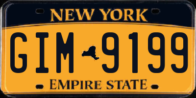 NY license plate GIM9199