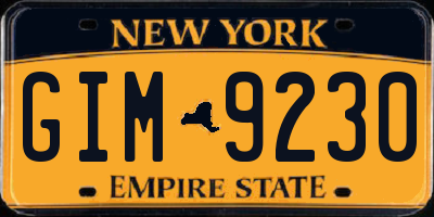 NY license plate GIM9230