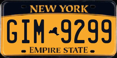 NY license plate GIM9299