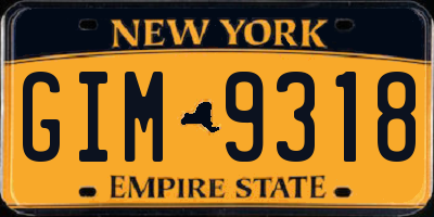 NY license plate GIM9318