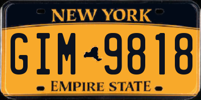 NY license plate GIM9818