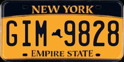 NY license plate GIM9828