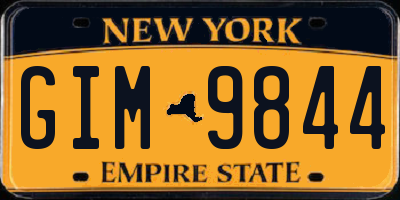 NY license plate GIM9844