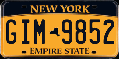 NY license plate GIM9852