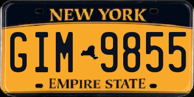 NY license plate GIM9855