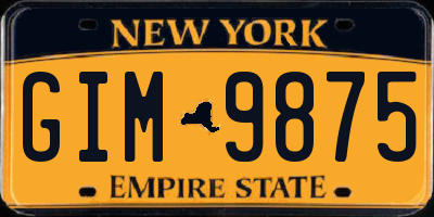 NY license plate GIM9875
