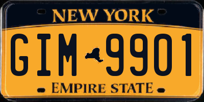NY license plate GIM9901