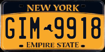 NY license plate GIM9918