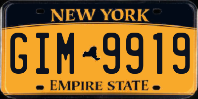 NY license plate GIM9919