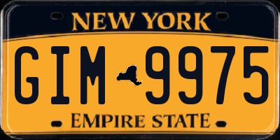 NY license plate GIM9975