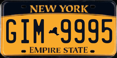 NY license plate GIM9995