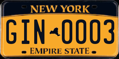 NY license plate GIN0003