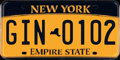 NY license plate GIN0102