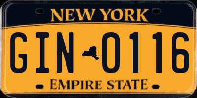 NY license plate GIN0116